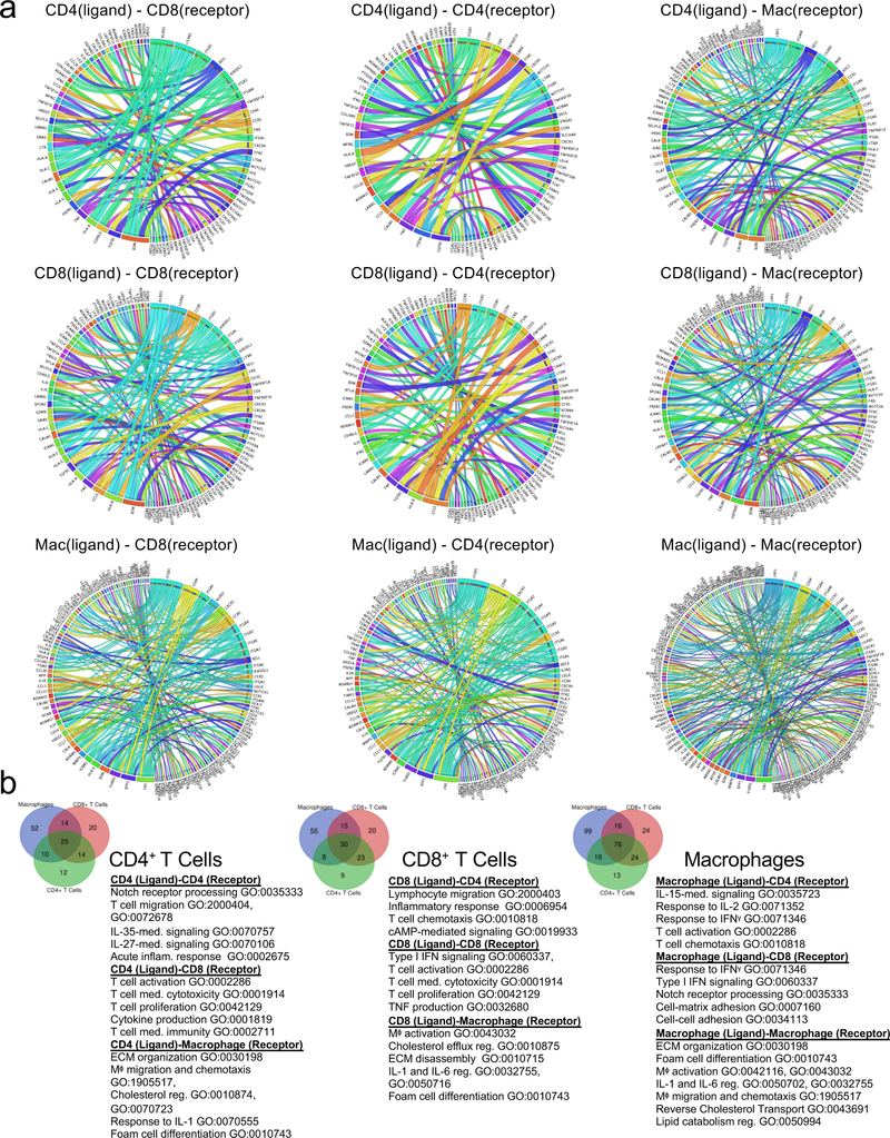 Extended Data Fig. 10.