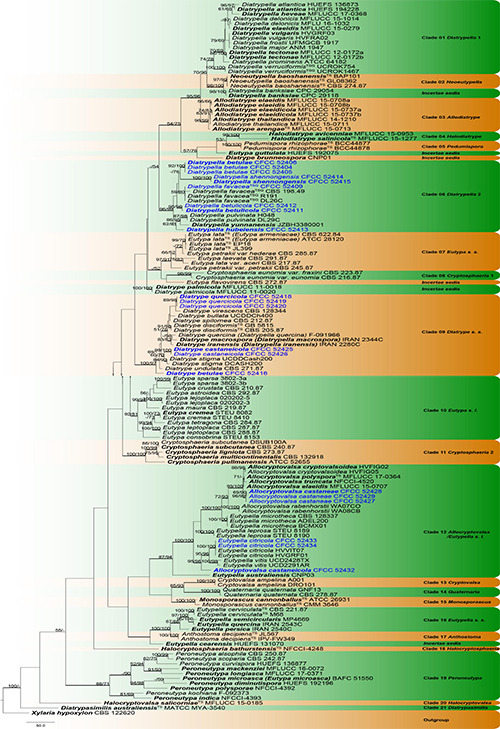 FIGURE 1