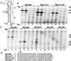 FIG. 7