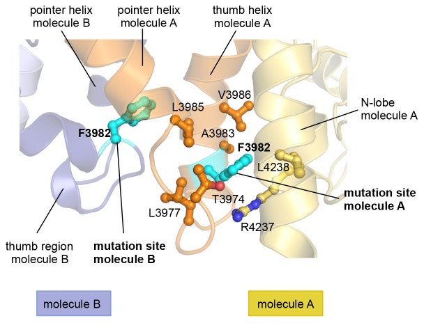 Figure 4—figure supplement 1.