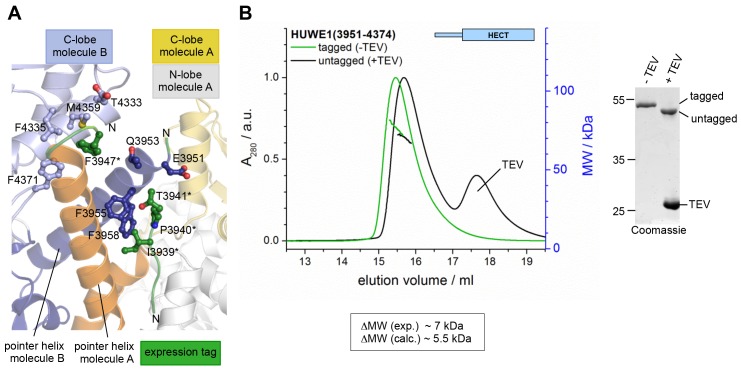 Figure 3—figure supplement 2.