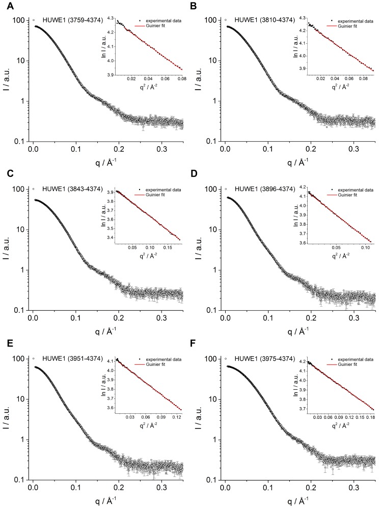 Figure 8—figure supplement 1.