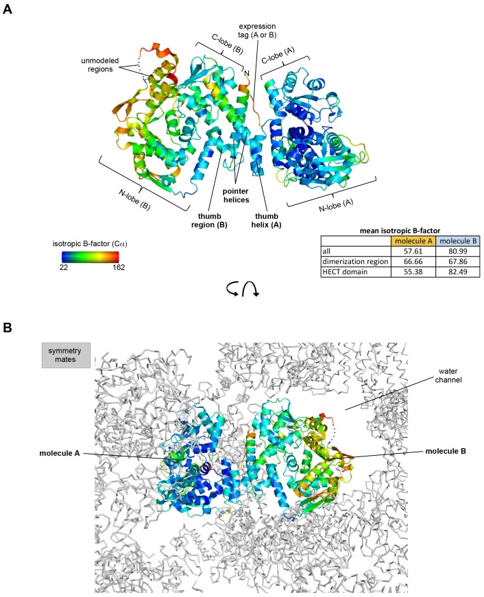 Figure 1—figure supplement 1.