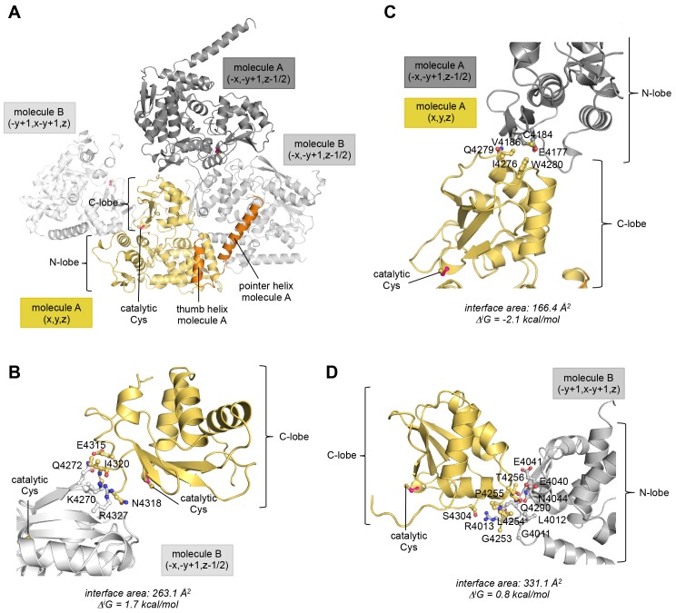 Figure 2—figure supplement 3.