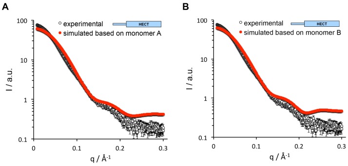 Figure 3—figure supplement 1.