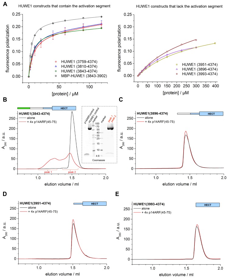 Figure 10.