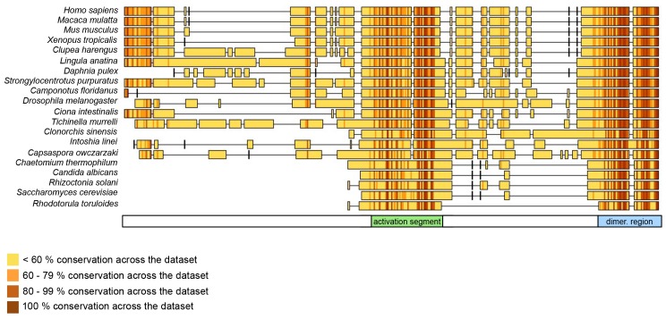 Figure 11.