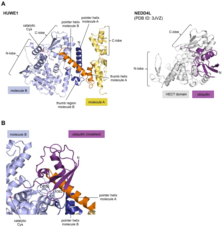 Figure 2—figure supplement 1.