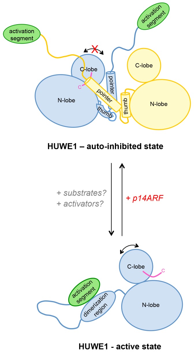 Figure 12.