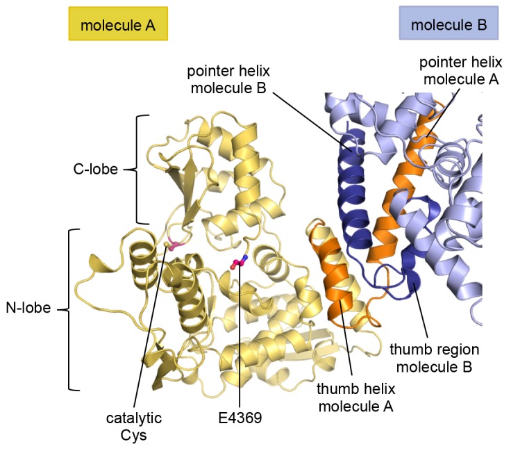 Figure 2—figure supplement 2.