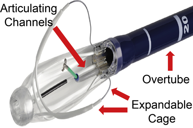 Figure 1