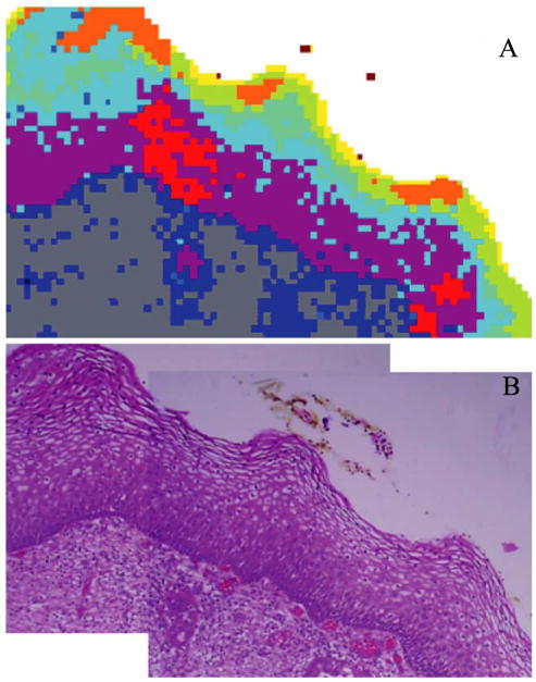 Fig. 3