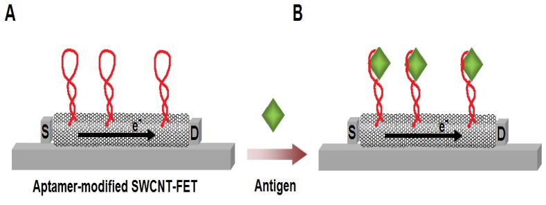 Figure 7.