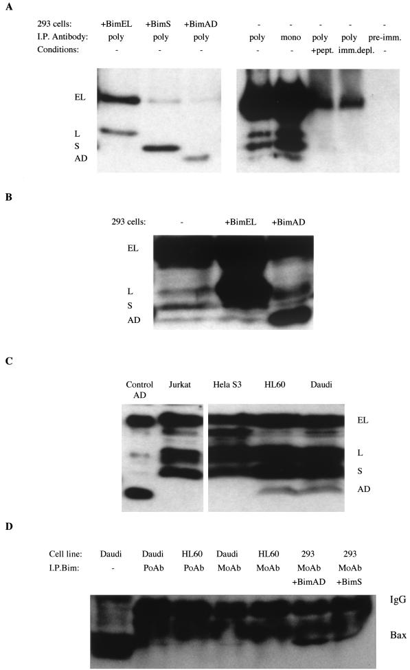 FIG. 8.