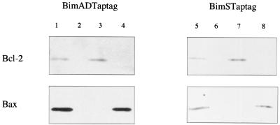 FIG. 9.