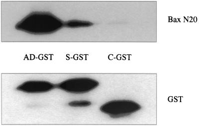 FIG. 7.