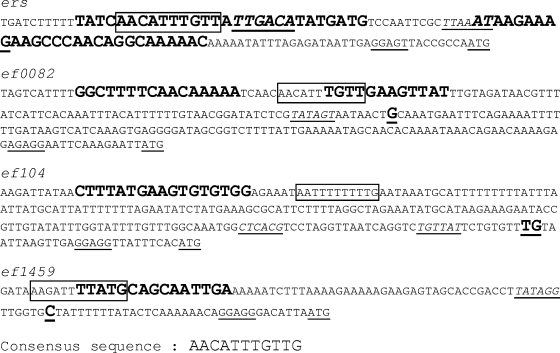 FIG. 5.