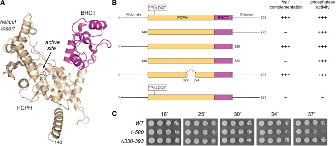 FIGURE 1.