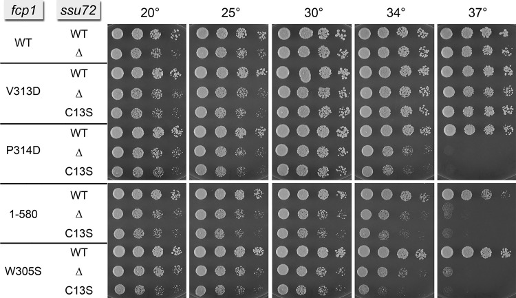 FIGURE 4.