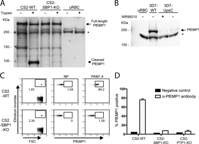 FIG 1