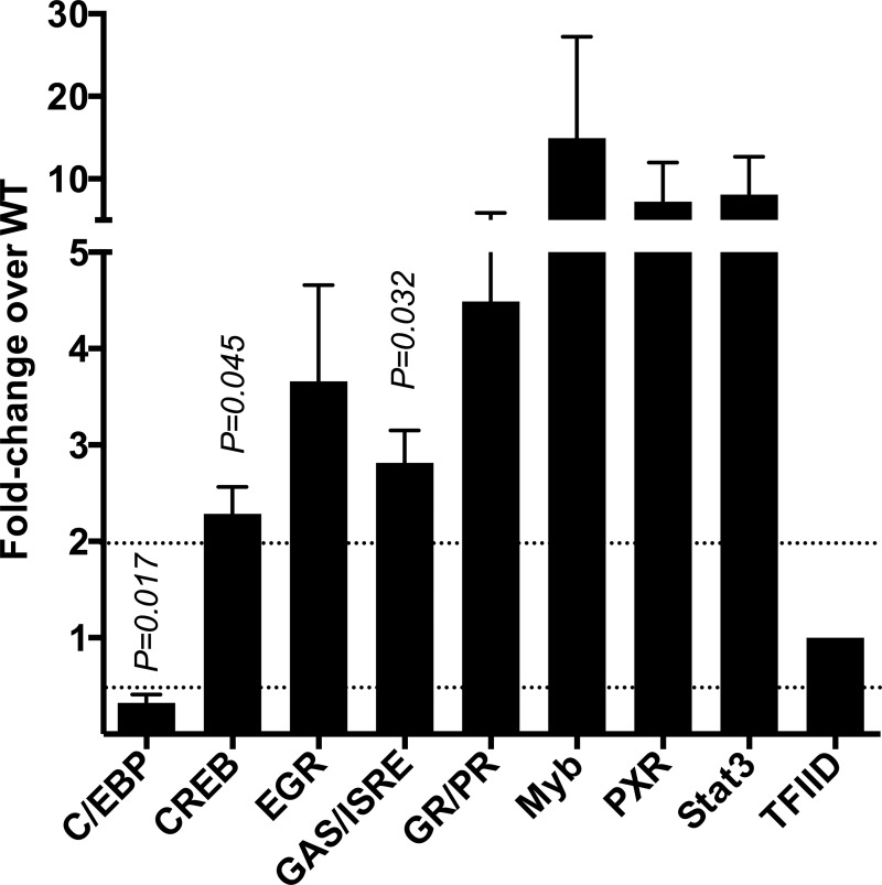 FIG 3