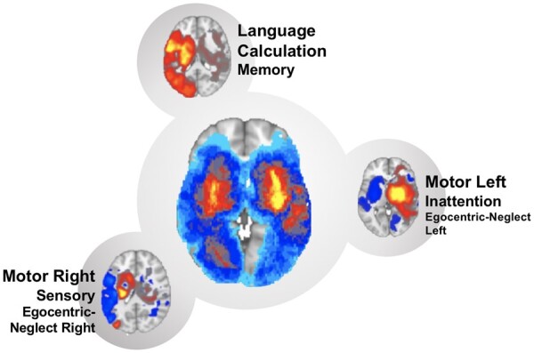 Graphical Abstract