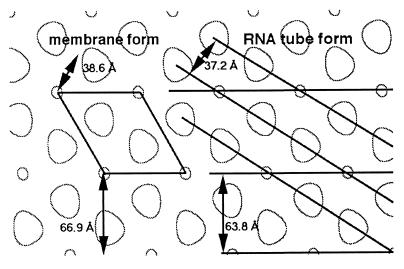 FIG. 8