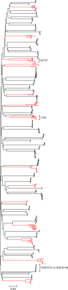 FIG. 2.
