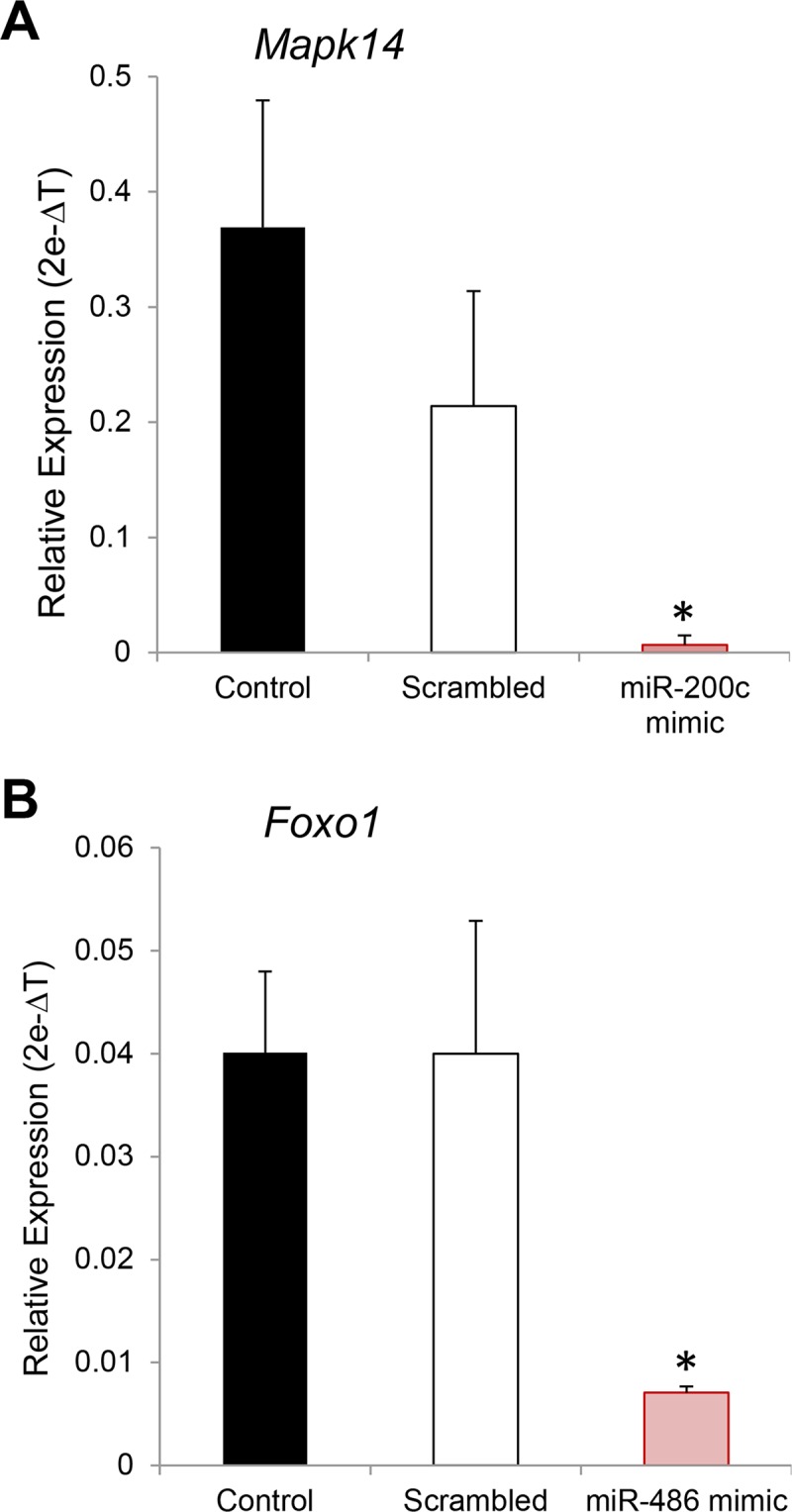 Fig 10