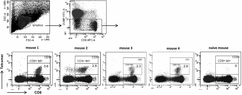 Fig. 3