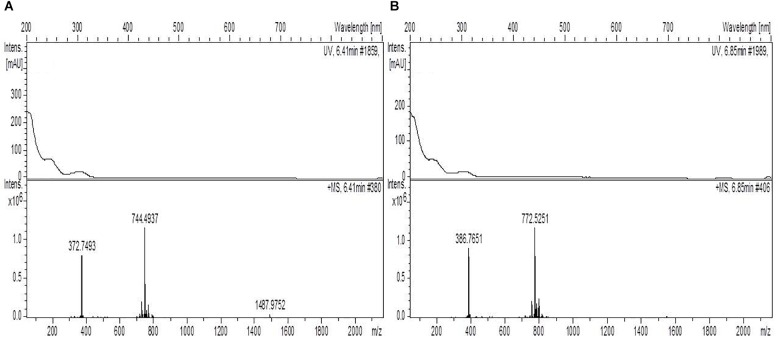 FIGURE 3