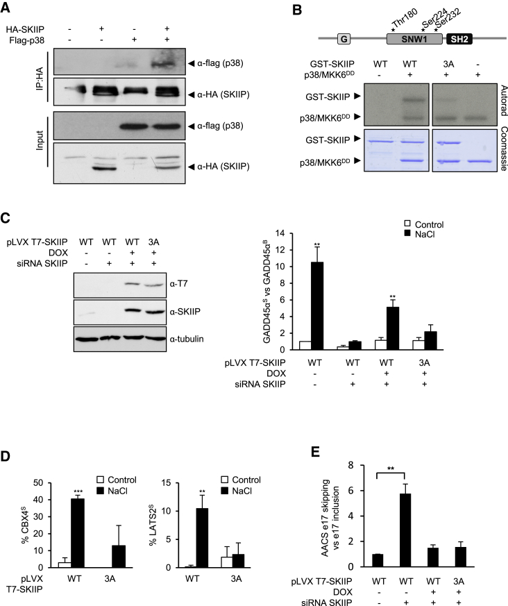 Figure 5