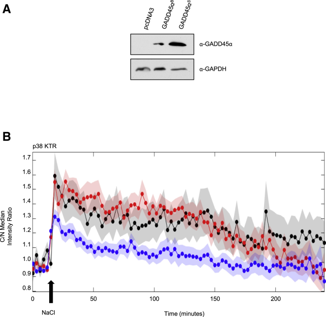 Figure 6