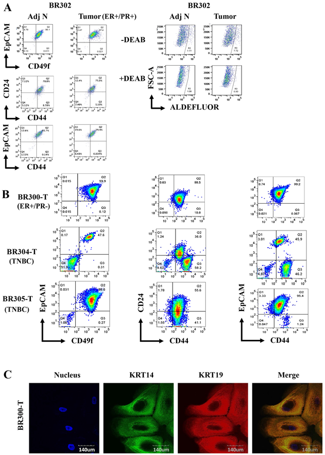 Figure 4: