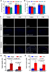 Figure 12.