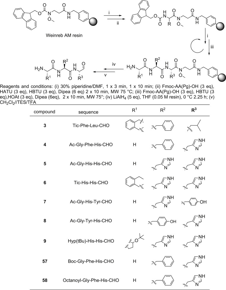 Scheme 1