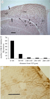 Figure 3.