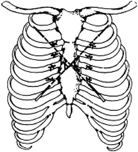 Fig. 10