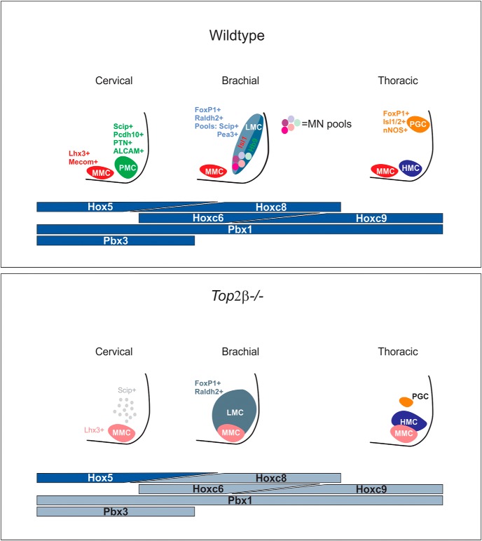 Figure 10.