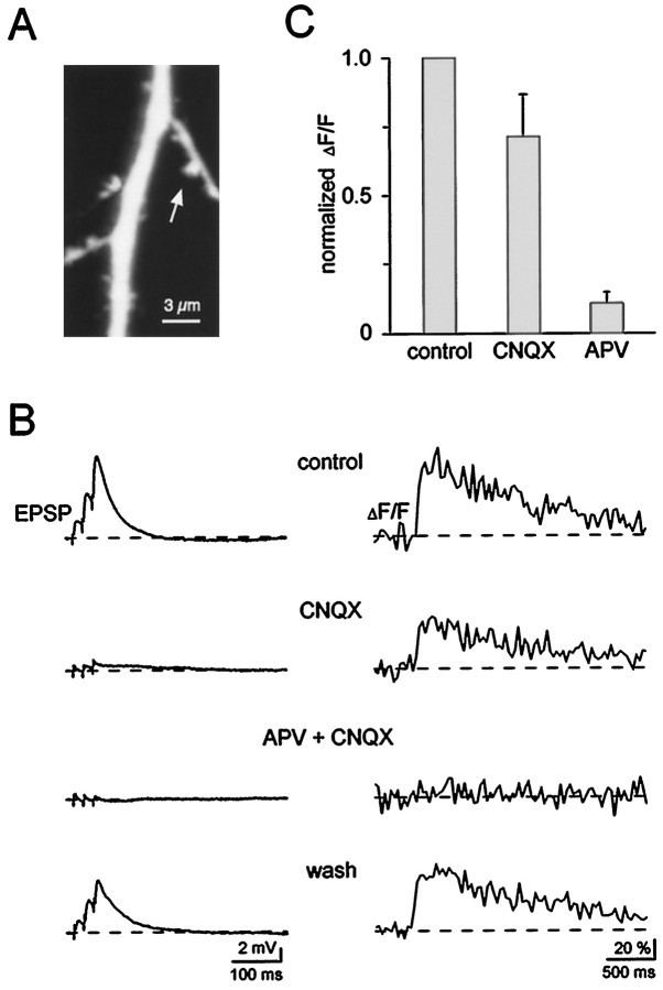 Fig. 2.