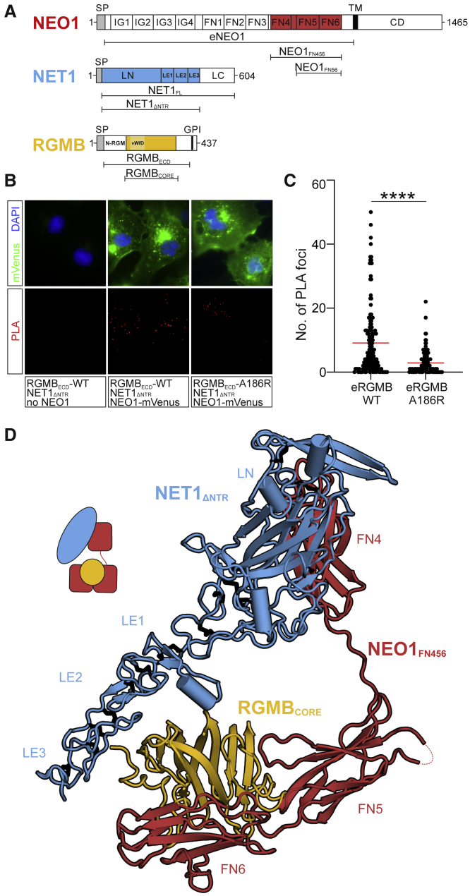 Figure 1