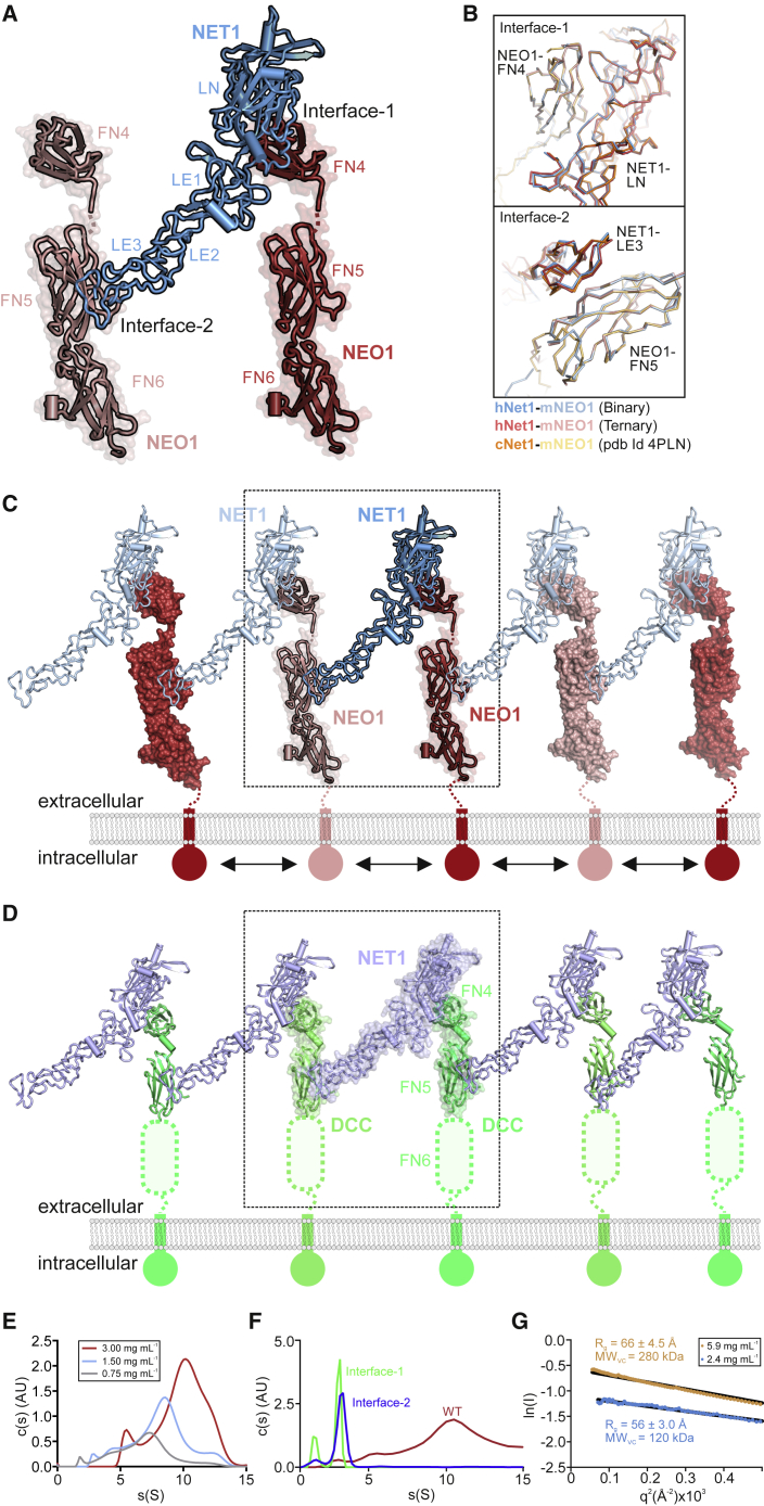 Figure 4