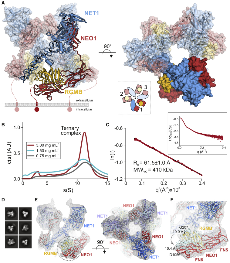 Figure 2