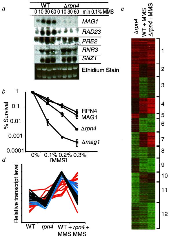 FIG. 6