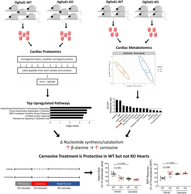 Graphical Abstract