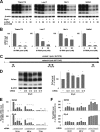 FIG 6