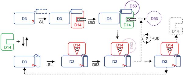 Extended Data Figure 8.