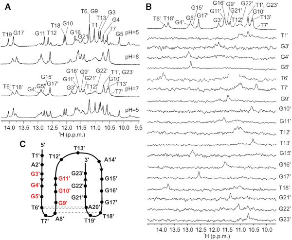 Figure 7.