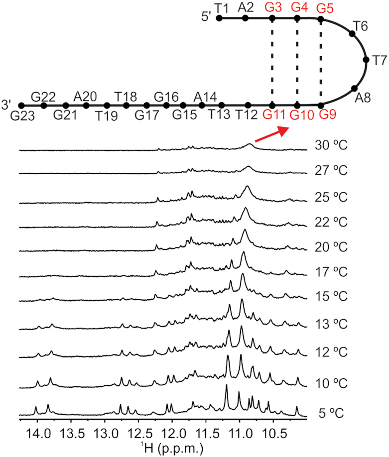 Figure 6.