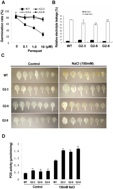 Figure 10